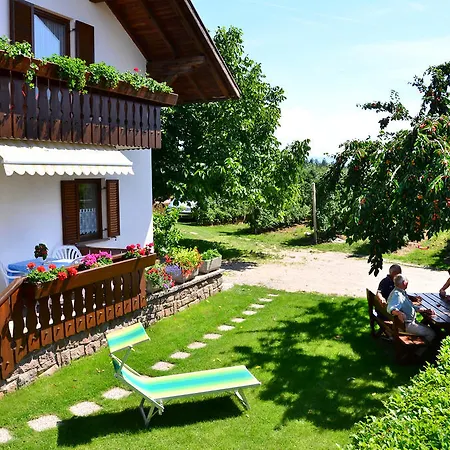 Ferienwohnung Pippohof Appiano Sulla Strada Del Vino Room photo